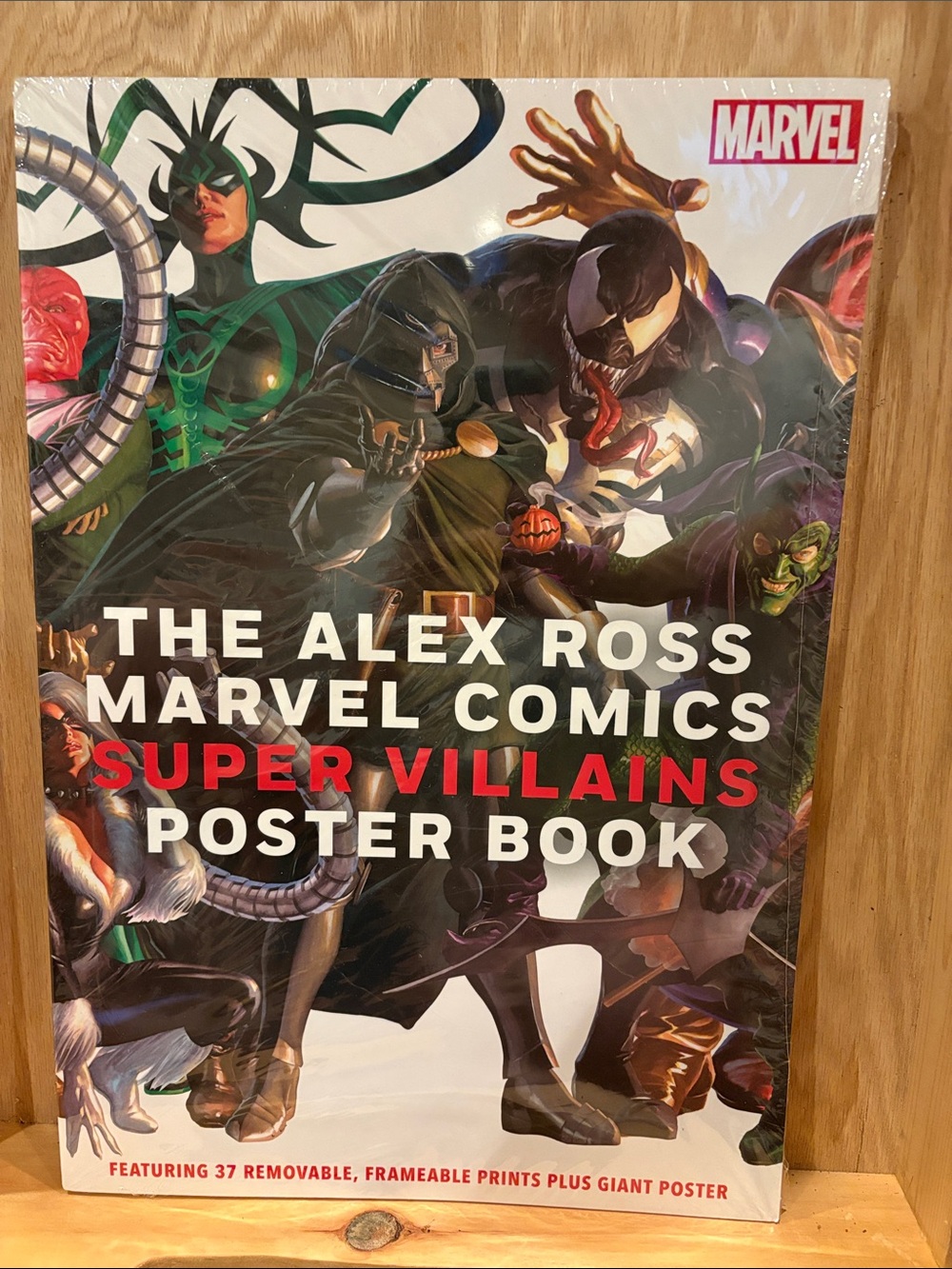 The Alex Ross Marvel Comic Super Villains Poster Book - Sealed NWT